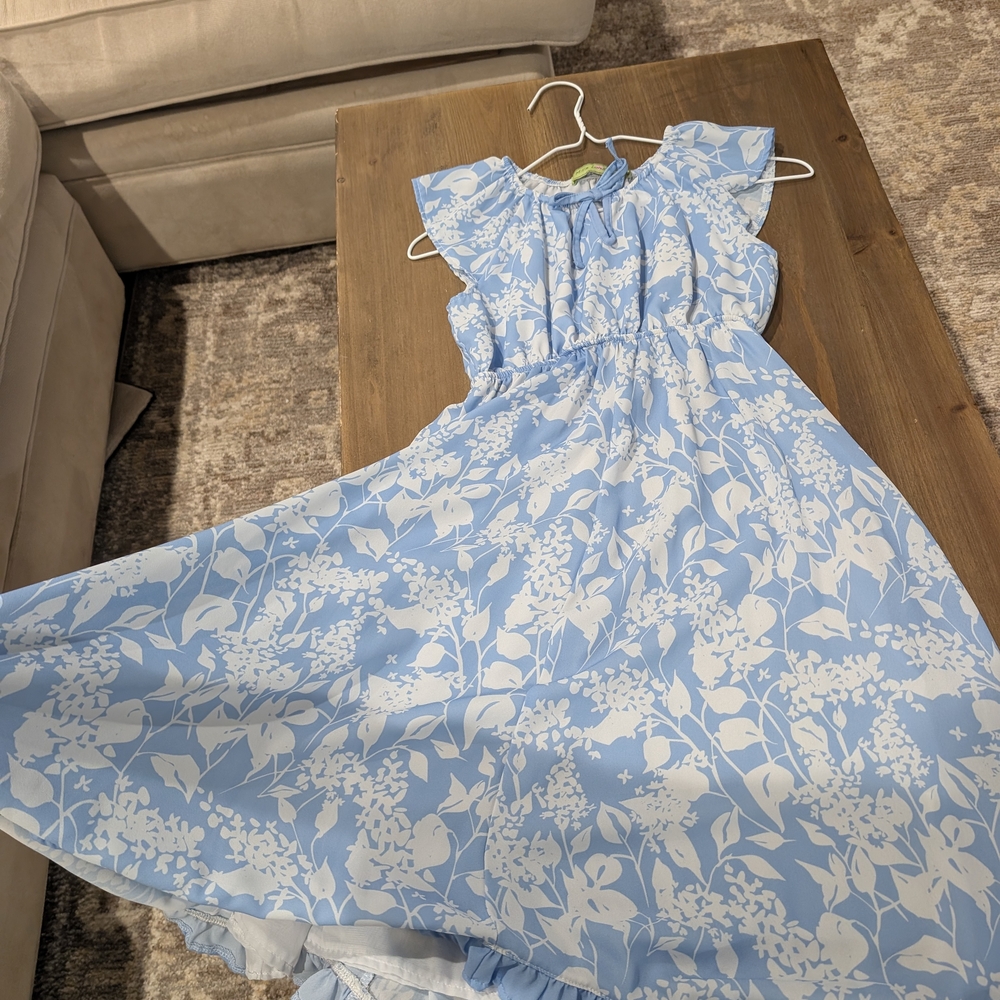 Blue and White Ruffled Tiered Sundress